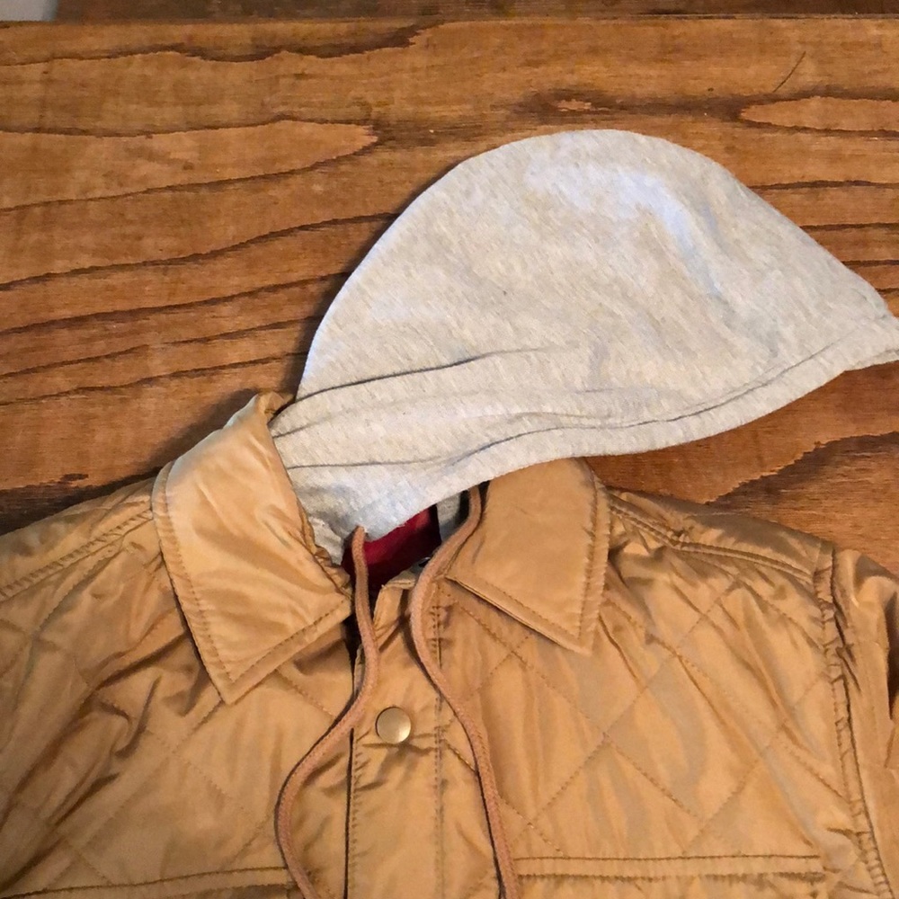 Quilted jacket. - Picture 2 of 2